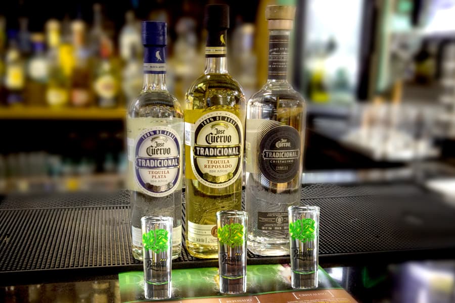 degustacion tradicional los panchos